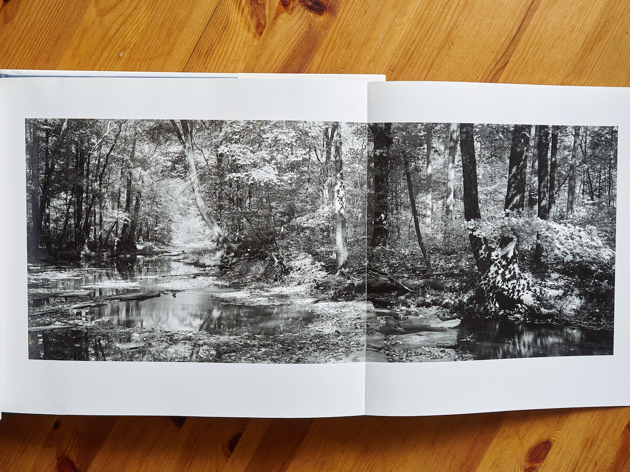 Foto vom Foto Ottsville aus dem Buch A Visual Journey von Michal A. Smith